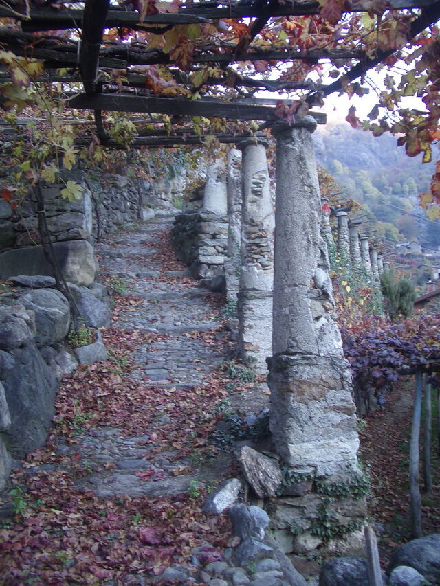 Via Francigena - Vittone Tupiun