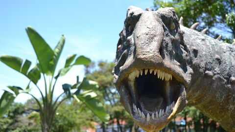 Dinosaur replica
