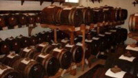 Balsamic vinegar being aged