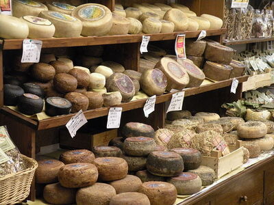 Selection of the strong flavoured Pecorino cheese
