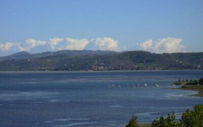 Lake Trasimeno