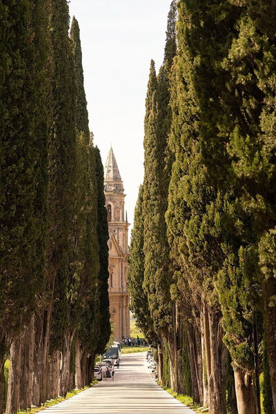 Sanctuary of the Madonna di San Biagio, cypress road