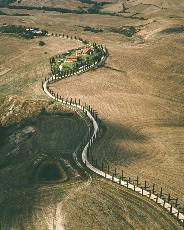A cypress-lined road in Tuscany