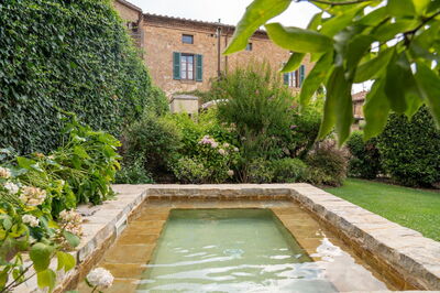 Pool, Town House Garden