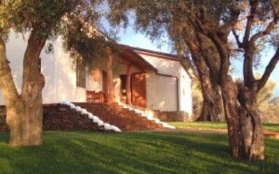 Villa Oliveta
