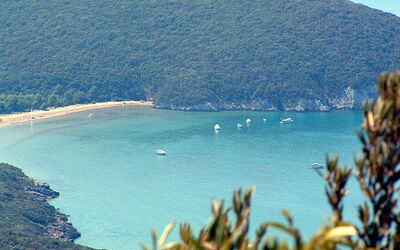 View of Cala di Forno Bay
