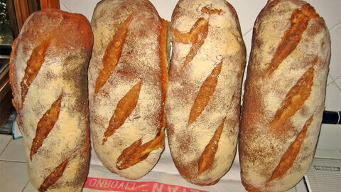 Pane Sciocco