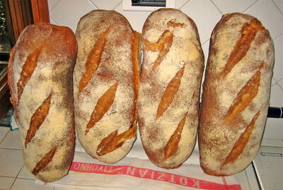 Pane Sciocco