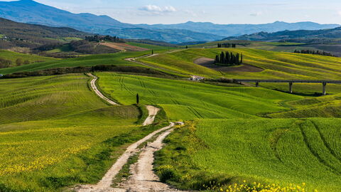 A road in Tuscany