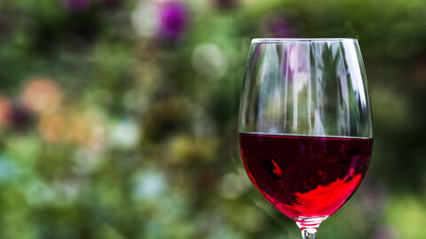 Wine