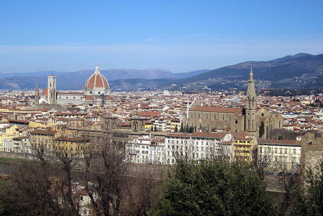 View over Florence
