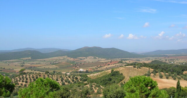 The Views from Capalbio