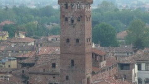 Lucca Torre Guinigi