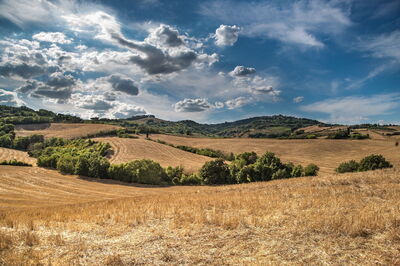 Tuscan Countryside