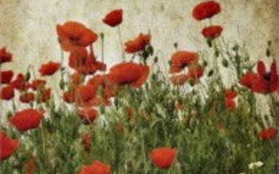 At Least You're In Tuscany