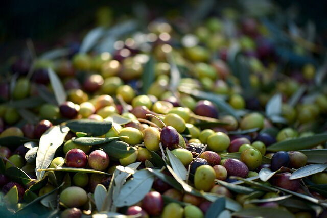 picked olives