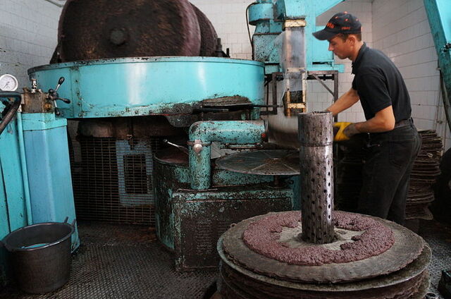 olive oil production process