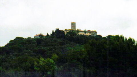 view of marsiliana