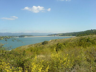 view of bilancino lake