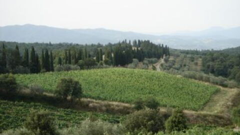 View of Val di Chiana