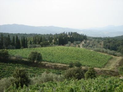 View of Val di Chiana