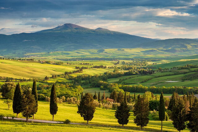 The Tuscan Countryside