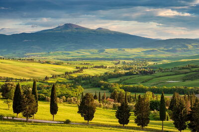 The Tuscan Countryside