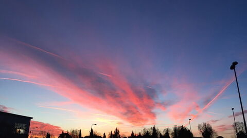 Sunset over Pisa