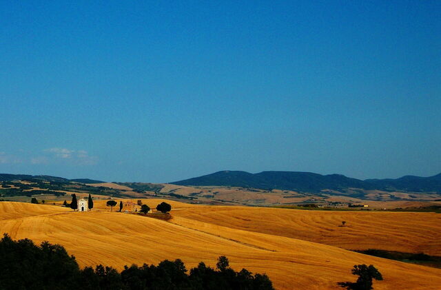 Tuscan Landscape