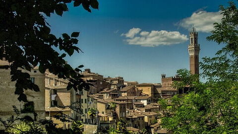 View of Pisa