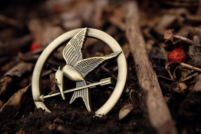 Hunger Games Mockingjay pin