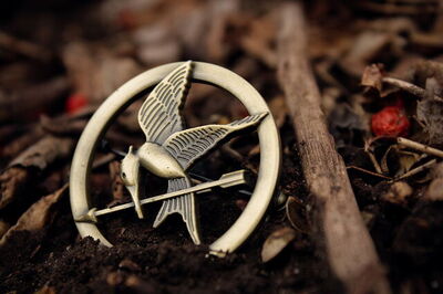 Hunger Games Mockingjay pin
