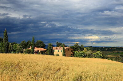 Tuscan landscape