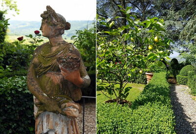Garden, Villa Agnola