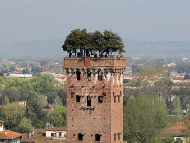 Torre Guinigi