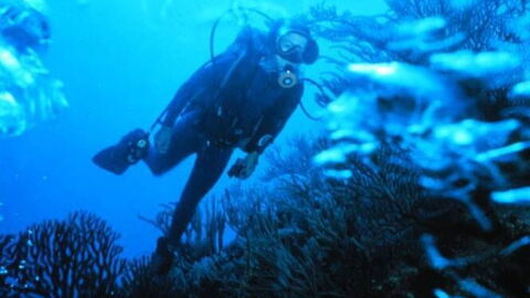Diving into underwater Tuscany!