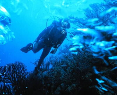 Diving into underwater Tuscany!