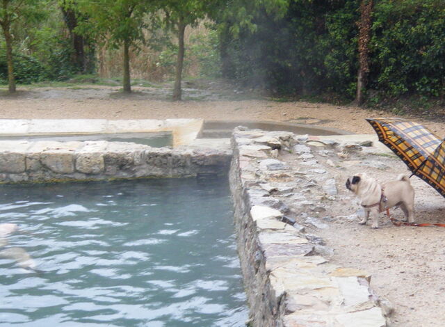 Old Baths, San Casciano