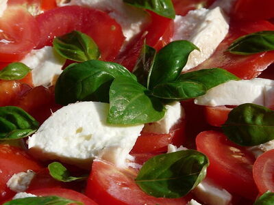mozzarella and tomato