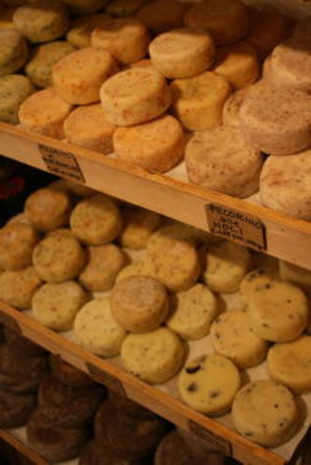 Pecorino