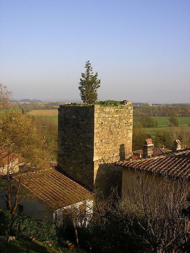 one of ancient towers in vicopisano