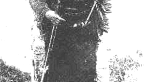 Domenico Tiburzi