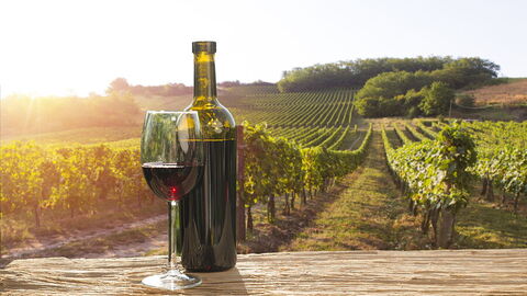 Wine in Chianti