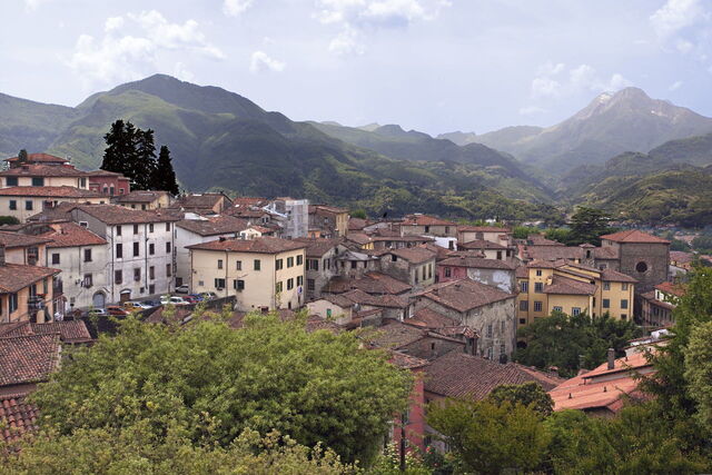 Overview