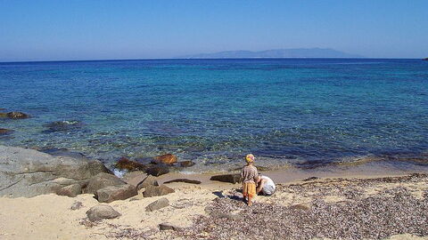 coast of giglio island