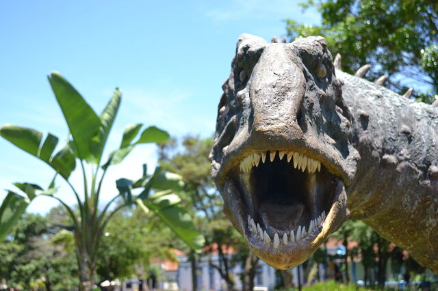 Model of a dinosaur