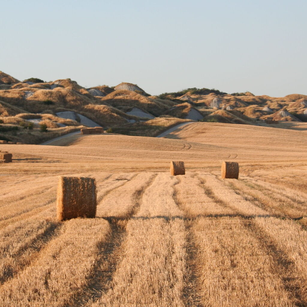 Tuscany Villas Staff