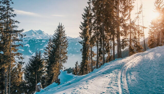 Snowy slopes