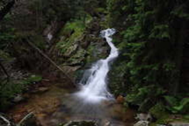 A fresh spring bursting out of the mountain