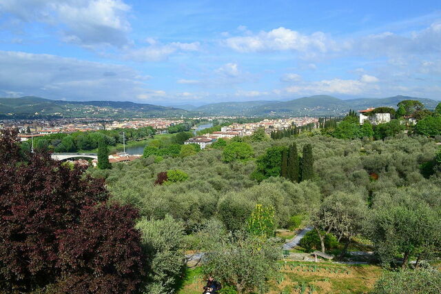 Views from the Iris Garden